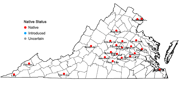 Locations ofCarex texensis (Torr.) Bailey in Virginia