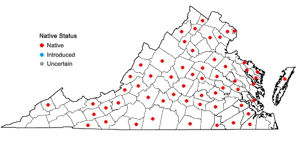 Locations ofCarex tonsa (Fernald) Bicknell in Virginia