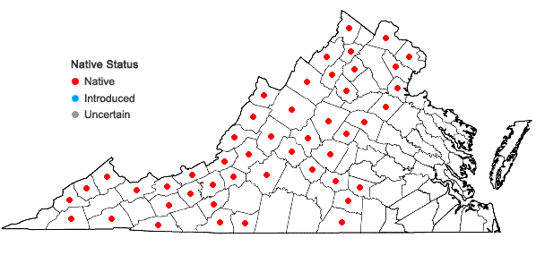 Locations ofCarex torta Boott in Virginia