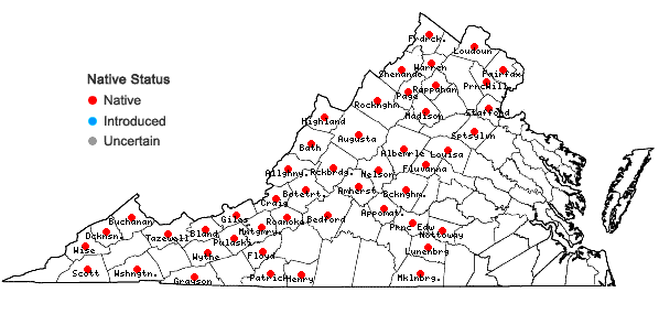 Locations ofCarex torta Boott in Virginia