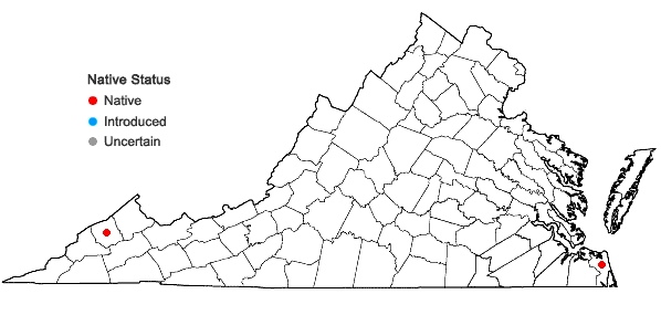 Locations ofCarex tribuloides Wahlenb. var. sangamonensis Clokey in Virginia