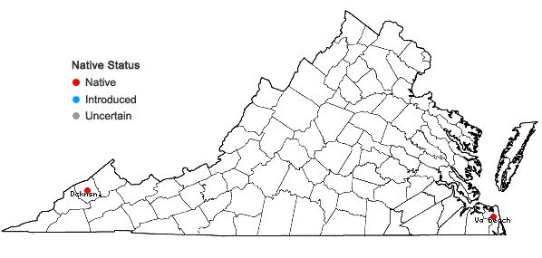 Locations ofCarex tribuloides Wahlenb. var. sangamonensis Clokey in Virginia