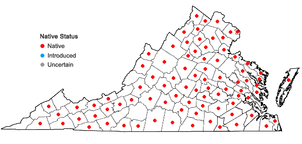 Locations ofCarex tribuloides Wahlenb. var. tribuloides in Virginia