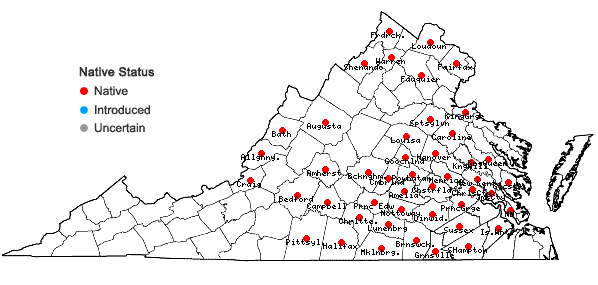 Locations ofCarex typhina Michaux in Virginia