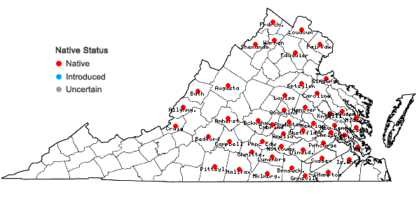 Locations ofCarex typhina Michaux in Virginia