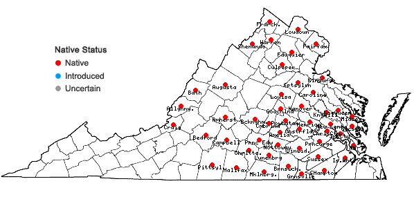 Locations ofCarex typhina Michaux in Virginia