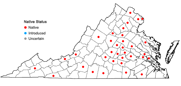 Locations ofCarex umbellata Schk. ex Willd. in Virginia