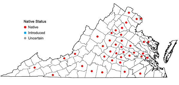 Locations ofCarex umbellata Schk. ex Willd. in Virginia