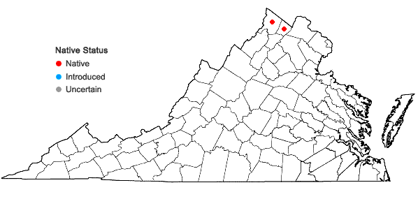 Locations ofCarex utriculata Boott in Virginia