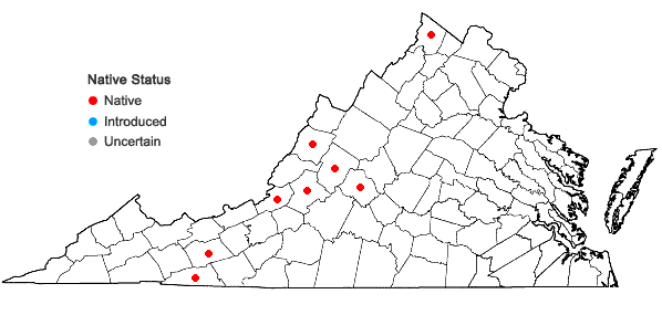 Locations ofCarex vesicaria L. in Virginia