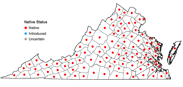 Locations ofCarex vulpinoidea Michaux in Virginia