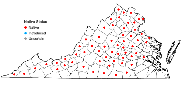 Locations ofCarex willdenowii Schk. ex Willd. in Virginia