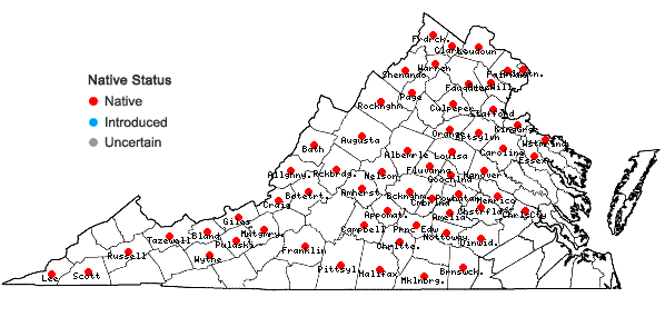 Locations ofCarex willdenowii Schk. ex Willd. in Virginia