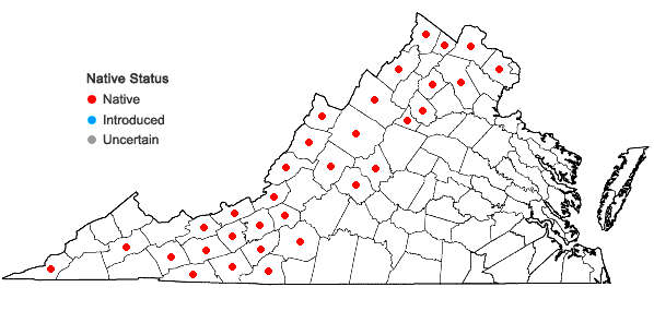 Locations ofCarex woodii Dewey in Virginia