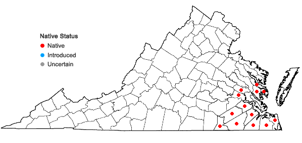 Locations ofCarya aquatica (Michx.f.) Nutt. in Virginia