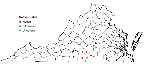 Locations ofCarya carolinae-septentrionalis (Ashe) Engl. & Graebn. in Virginia