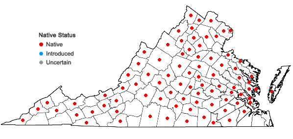 Locations ofCarya cordiformis (Wangenh.) K. Koch in Virginia