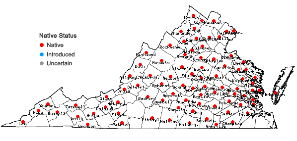 Locations ofCarya cordiformis (Wangenh.) K. Koch in Virginia