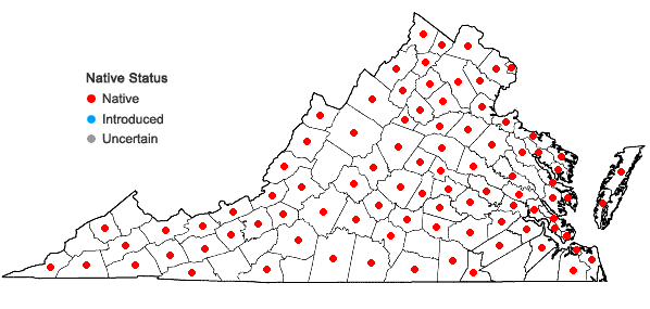 Locations ofCarya glabra (P. Miller) Sweet in Virginia