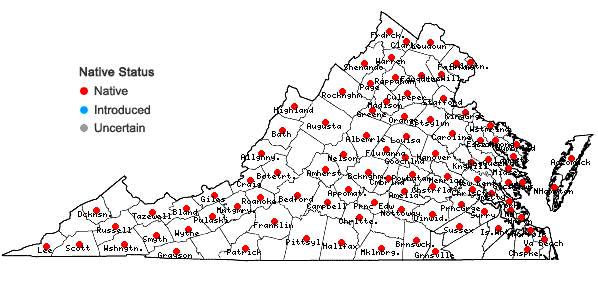 Locations ofCarya glabra (P. Miller) Sweet in Virginia