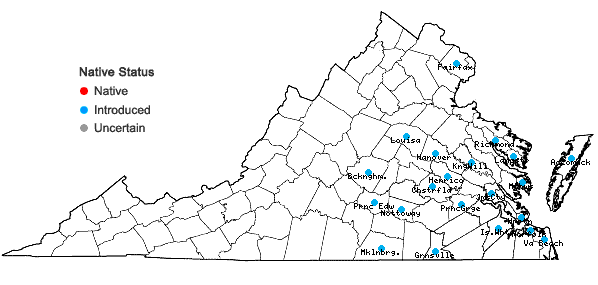 Locations ofCarya illinoinensis (Wangenh.) K. Koch in Virginia