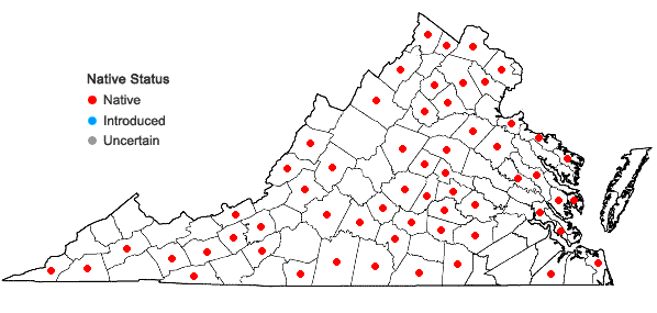 Locations ofCarya ovalis (Wangenh.) Sarg. in Virginia