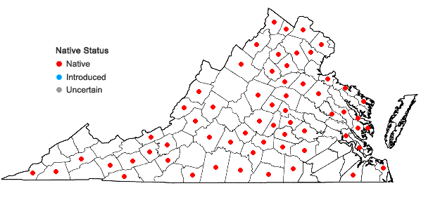 Locations ofCarya ovalis (Wangenh.) Sarg. in Virginia