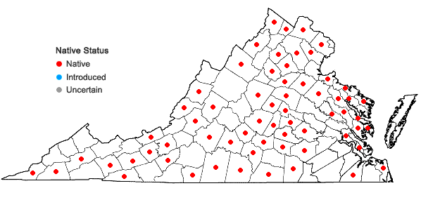Locations ofCarya ovalis (Wangenh.) Sarg. in Virginia