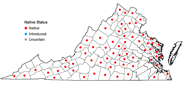 Locations ofCarya ovalis (Wangenh.) Sarg. in Virginia