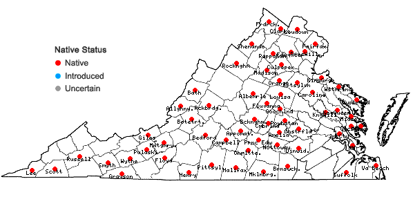 Locations ofCarya ovalis (Wangenh.) Sarg. in Virginia