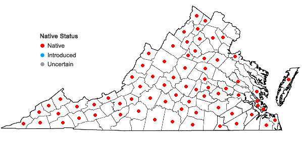 Locations ofCarya ovata (P.Mill.) K. Koch in Virginia