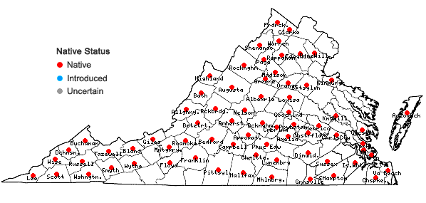 Locations ofCarya ovata (P.Mill.) K. Koch in Virginia