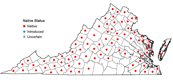 Locations ofCastanea dentata (Marshall) Borkhausen in Virginia