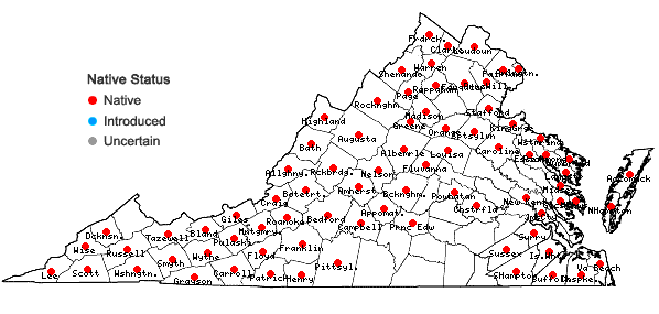 Locations ofCastanea dentata (Marshall) Borkhausen in Virginia