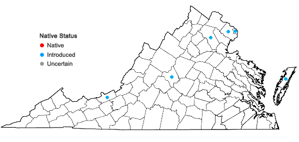 Locations ofCastanea mollissima Blume in Virginia