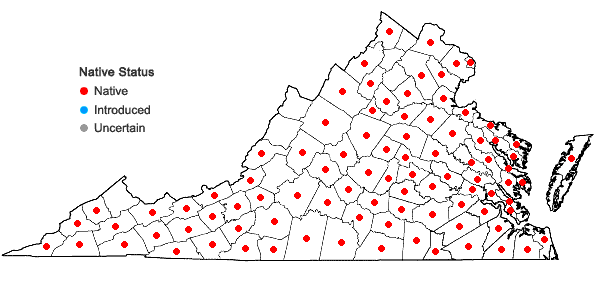 Locations ofCastanea pumila  (Linnaeus) P. Miller in Virginia