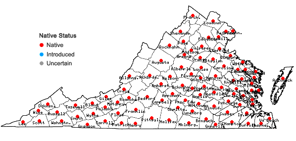 Locations ofCastanea pumila  (Linnaeus) P. Miller in Virginia