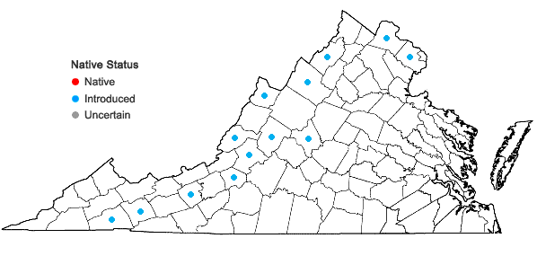 Locations ofCatalpa bignonioides Walt. in Virginia