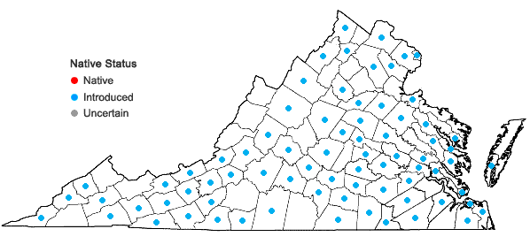 Locations ofCatalpa speciosa (Warder) Warder ex Engelm. in Virginia