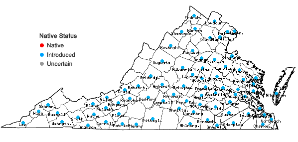 Locations ofCatalpa speciosa (Warder) Warder ex Engelm. in Virginia