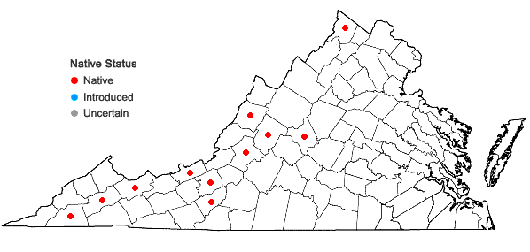 Locations ofCaulophyllum giganteum (Farw.) Loconte & Blackwell in Virginia