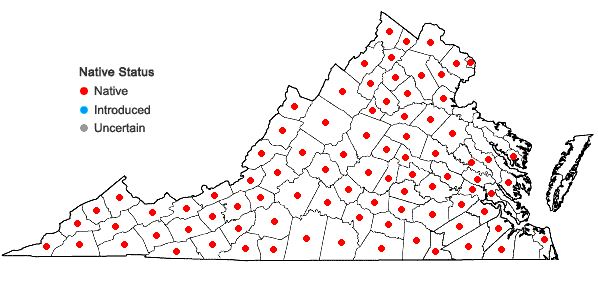Locations ofCeanothus americanus L. in Virginia