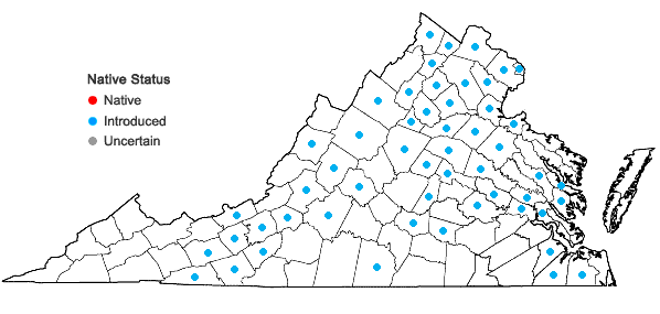 Locations ofCelastrus orbiculatus Thunb. in Virginia