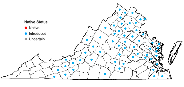 Locations ofCelastrus orbiculatus Thunb. in Virginia