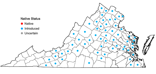 Locations ofCelastrus orbiculatus Thunb. in Virginia