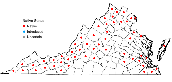 Locations ofCelastrus scandens L. in Virginia
