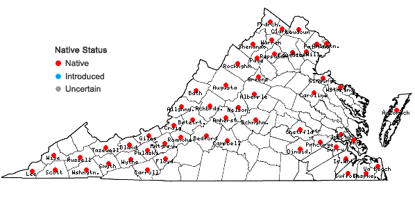 Locations ofCelastrus scandens L. in Virginia