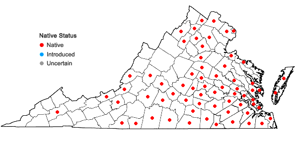 Locations ofCeltis laevigata Willd. in Virginia