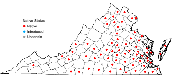 Locations ofCeltis laevigata Willd. in Virginia