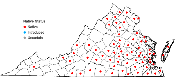 Locations ofCeltis laevigata Willd. in Virginia